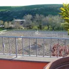 Immagine 1 azienda ASSOCIAZIONE IPPICA FONTE NUOVA Industrie e agricoltura in Fonte Nuova RM