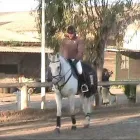 Immagine 2 azienda ASSOCIAZIONE SPORTIVA DILETTANTISTICA KAPPA EQUESTRE Industrie e agricoltura in Fiumicino RM