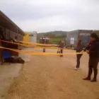 Immagine 3 azienda ASSOCIAZIONE SPORTIVA DILETTANTISTICA KAPPA EQUESTRE Industrie e agricoltura in Fiumicino RM