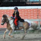 Immagine 5 azienda ASSOCIAZIONE SPORTIVA DILETTANTISTICA KAPPA EQUESTRE Industrie e agricoltura in Fiumicino RM