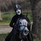 Immagine 8 azienda ASSOCIAZIONE SPORTIVA DILETTANTISTICA KAPPA EQUESTRE Industrie e agricoltura in Fiumicino RM