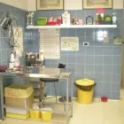 Immagine 7 azienda ASSOCIAZIONE VETERINARIA VIGNA MURATA Veterinario in Roma