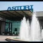 Immagine 1 azienda ASTORI SPA Vivaio in Montichiari BS