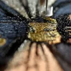 Immagine 3 azienda ATELIER NOTIFY PARIS Shopping e acquisti in Milano