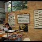 Immagine 1 azienda AUTOCARROZZERIA DEL GRETO Veicoli in Bologna