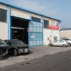 Immagine 6 azienda AUTODEMOLIZIONI DA NANDO Veicoli in Bricherasio TO