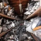 Immagine 4 azienda AUTODEMOLIZIONI SECCIA Veicoli in Milano