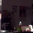 Immagine 5 azienda AUTOFFICINA VECCHIONE Veicoli in Napoli