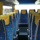 Immagine 4 azienda AUTONOLEGGIO PENNELLI Viaggi e turismo in San Giovanni Rotondo FG