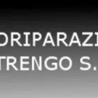 Immagine 1 azienda AUTORIPARAZIONI PASTRENGO Veicoli in Moncalieri TO