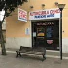 Immagine 8 azienda AUTOSCUOLE CENCI Test sulle emissioni in Albano Laziale RM