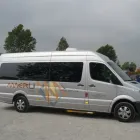 Immagine 2 azienda AUTOSERVIZI MERLI Veicoli in Riccione RN