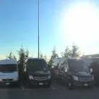 Immagine 4 azienda AUTOSERVIZI MERLI Veicoli in Riccione RN