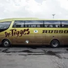 Immagine 10 azienda AUTOSERVIZI RUSSO Viaggi e turismo in Catania