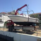 Immagine 6 azienda AUTOTRASPORTI TOMASETTI Veicoli in Santarcangelo Di Romagna RN