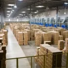 Immagine 4 azienda AUTOTRASPORTI VENARUBEA Veicoli in Guidonia Montecelio RM