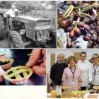 Immagine 1 azienda AZIENDA AGRICOLA BIOLOGICA FRANCA BATTISTA Shopping e acquisti in Sermoneta LT