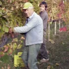 Immagine 2 azienda AZIENDA AGRICOLA BOCCELLA Servizi agricoli in Castelfranci AV