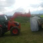 Immagine 2 azienda AZIENDA AGRICOLA DANIELE IACOVONE Shopping e acquisti in Manoppello PE