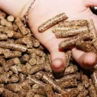 Immagine 3 azienda AZIENDA AGRICOLA DANIELE IACOVONE Shopping e acquisti in Manoppello PE