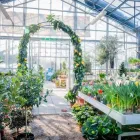 Immagine 29 azienda AZIENDA AGRICOLA FLOROVIVAISTA TOSCOGARDEN Vivaio in Calenzano FI