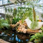 Immagine 39 azienda AZIENDA AGRICOLA FLOROVIVAISTA TOSCOGARDEN Vivaio in Calenzano FI