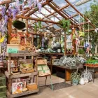 Immagine 41 azienda AZIENDA AGRICOLA FLOROVIVAISTA TOSCOGARDEN Vivaio in Calenzano FI