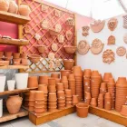 Immagine 47 azienda AZIENDA AGRICOLA FLOROVIVAISTA TOSCOGARDEN Vivaio in Calenzano FI
