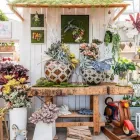 Immagine 50 azienda AZIENDA AGRICOLA FLOROVIVAISTA TOSCOGARDEN Vivaio in Calenzano FI