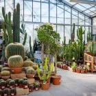 Immagine 71 azienda AZIENDA AGRICOLA FLOROVIVAISTA TOSCOGARDEN Vivaio in Calenzano FI