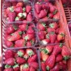 Immagine 6 azienda AZIENDA AGRICOLA GOFFI Shopping e acquisti in Torino