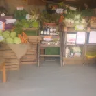 Immagine 2 azienda AZIENDA AGRICOLA LANFRANCO JESSICA Ortofrutticoltura in Moncalieri TO