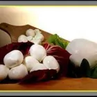 Immagine 5 azienda AZIENDA AGRICOLA TOMBINI LUCIO Servizi agricoli in Tarquinia VT