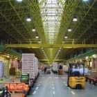 Immagine 5 azienda AZIENDA AGRICOLA TULLIO PIERINO Servizi agricoli in Cappelle Sul Tavo PE