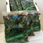Immagine 6 azienda AZIENDA AGRICOLA TULLIO PIERINO Servizi agricoli in Cappelle Sul Tavo PE