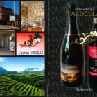 Immagine 1 azienda AZIENDA AGRICOLA VALDELLA Servizi agricoli in Refrontolo TV