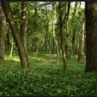Immagine 1 azienda AZIENDA AGROFORESTALE ZILIO Shopping e acquisti in Arcisate VA