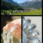 Immagine 1 azienda AZIENDA ELETTRICA DOBBIACO ELEKTRIZITÄTSWERK TOBLACH Servizi professionali in Dobbiaco BZ