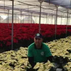 Immagine 1 azienda AZIENDA VIVAISTICA TAMMARO Vivaio in Pozzuoli NA