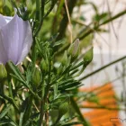 Immagine 5 azienda B&B 7CONTRADE Viaggi e turismo in Taranto