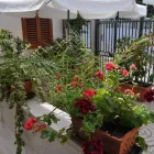 Immagine 9 azienda B&B 7CONTRADE Viaggi e turismo in Taranto