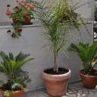 Immagine 13 azienda B&B 7CONTRADE Viaggi e turismo in Taranto