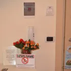 Immagine 36 azienda B&B 7CONTRADE Viaggi e turismo in Taranto