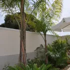 Immagine 62 azienda B&B 7CONTRADE Viaggi e turismo in Taranto