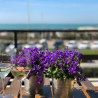 Immagine 3 azienda B&B ACQUAVIVA - FREGENE - FIUMICINO Viaggi e turismo in Fregene RM