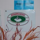 Immagine 5 azienda B&B STADIUM Viaggi e turismo in Torino