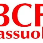 Immagine 1 azienda B.C.F. Servizi professionali in Sassuolo MO