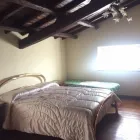 Immagine 6 azienda B E B TARQUINIUS Viaggi e turismo in Tarquinia VT