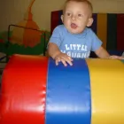 Immagine 7 azienda BABY GYM Sport e tempo libero in Torino