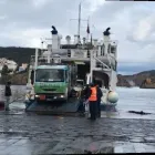 Immagine 3 azienda BACOGAS Shopping e acquisti in Pozzuoli NA
